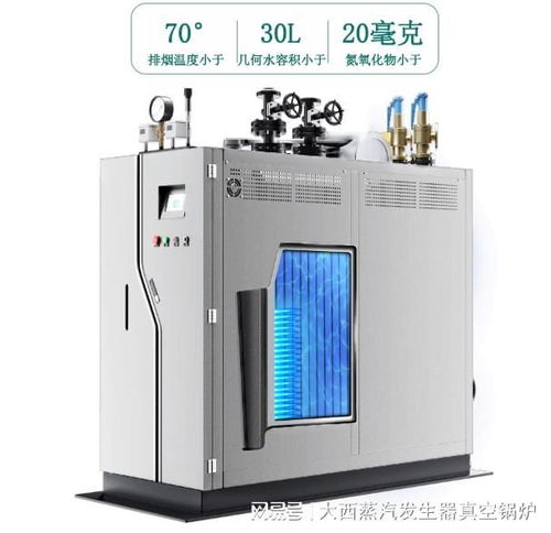 低氮環保燃氣蒸汽發生器