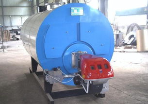 齊魯燃油蒸汽鍋爐 燃氣蒸汽鍋爐 酒廠蒸汽鍋爐 食品廠蒸汽鍋爐