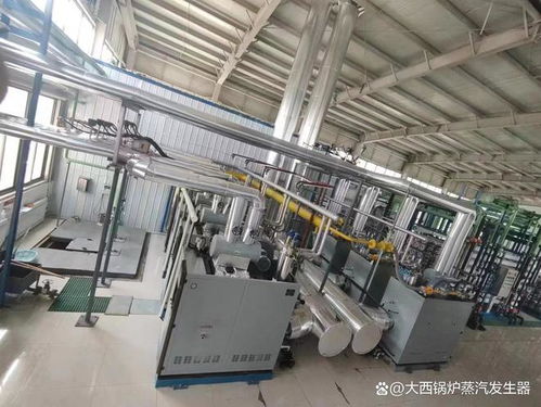 燃氣蒸汽發(fā)生器設(shè)備5月份最新價格